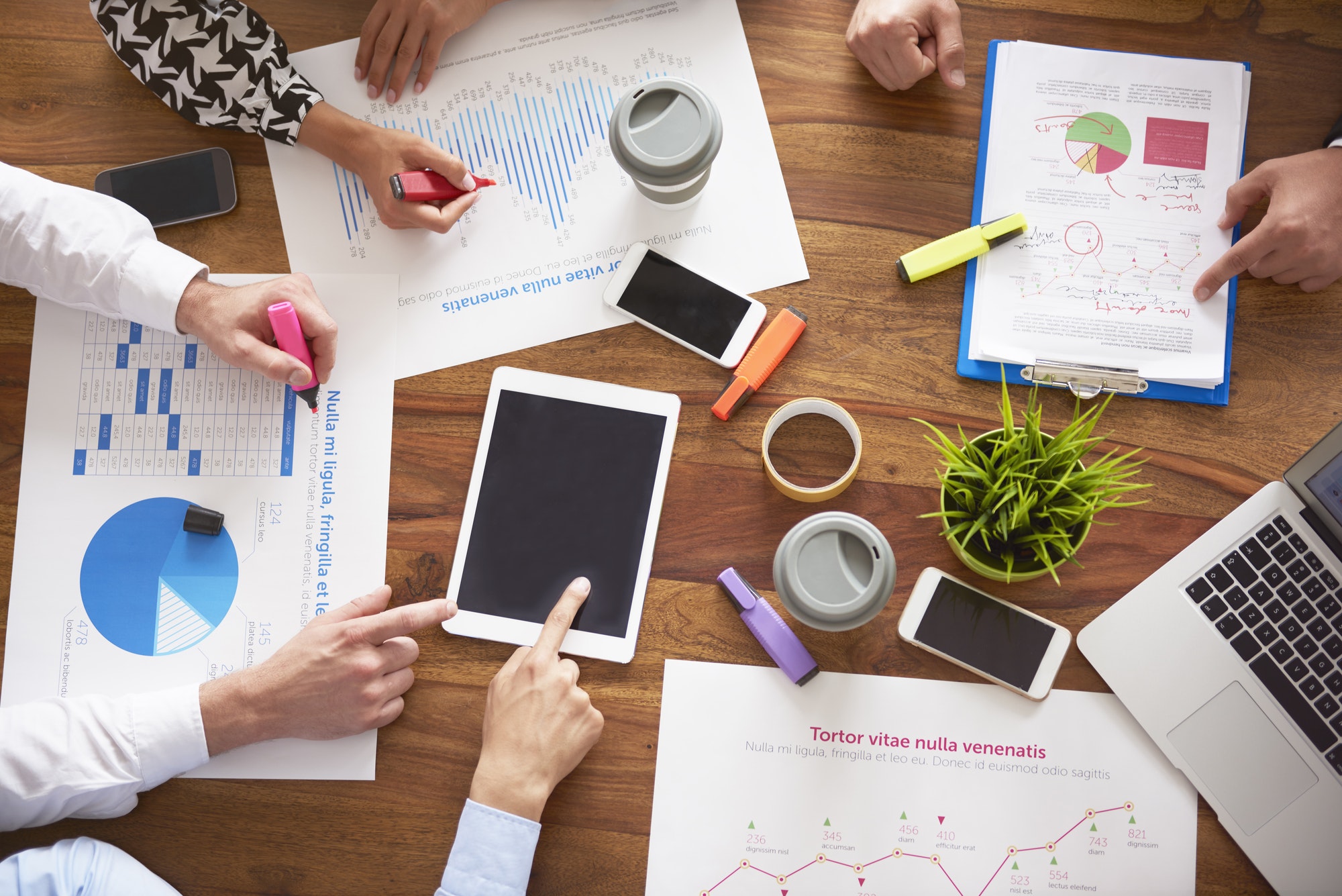 Website Management
